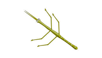 竹节虫-动漫人物竹节虫
