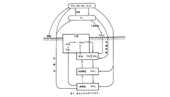 生物地球化学循环