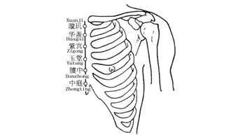 紫宫穴