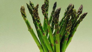 芦笋芦笋因其供食用的嫩茎,形似芦苇的嫩芽和竹笋,故中国已有很多人