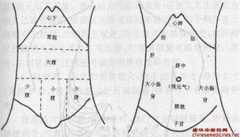 女子胞与脏腑 2.女子胞与经络 相关链接——精室 解剖图 结构名.