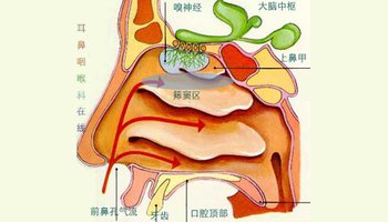 急性鼻窦炎