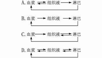 组织液