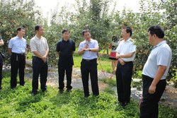 毕节市人民政府门户网站市长信箱管理办法