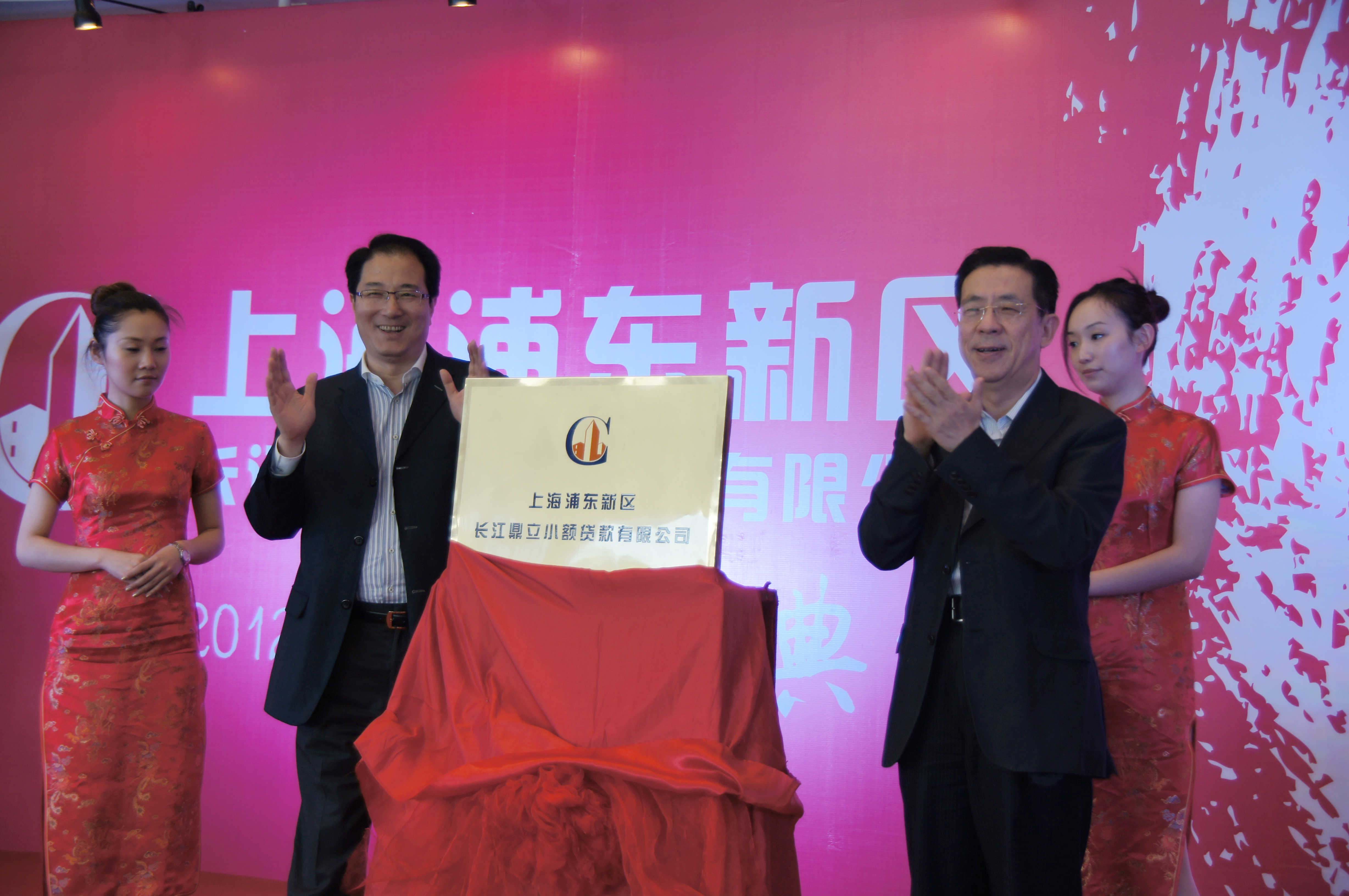 5ZOI5aOr5aWH_上海浦东新区长江鼎立小额贷款有限公司 编辑词条 ...