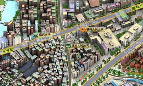 深圳市龙岗区横岗人民医院
