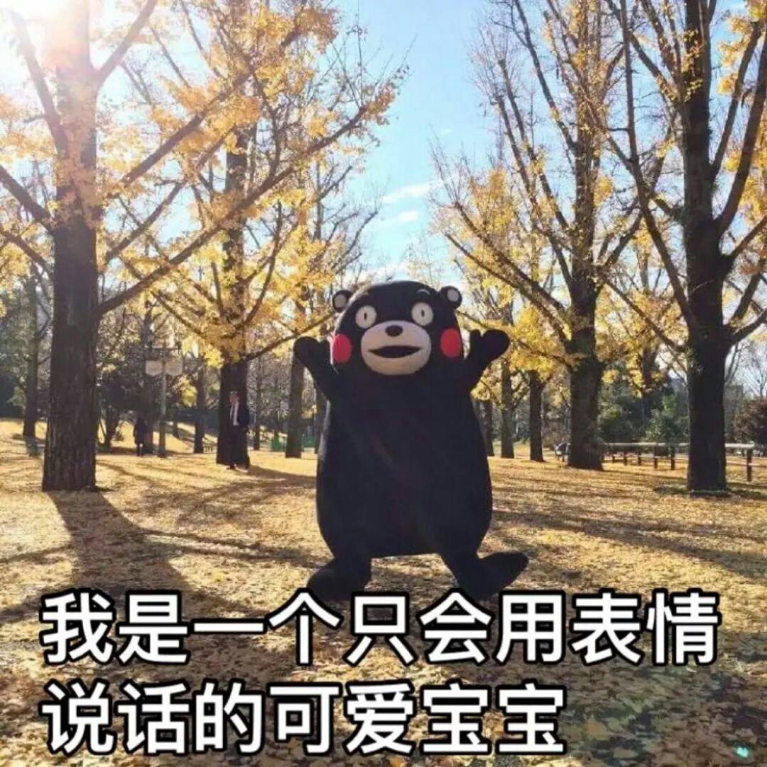【斗图必备】行走的表情包熊本熊