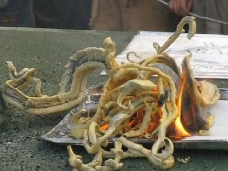 法老之蛇,法老之蛇怎么做,法老之蛇动态图 - 久爱文学网