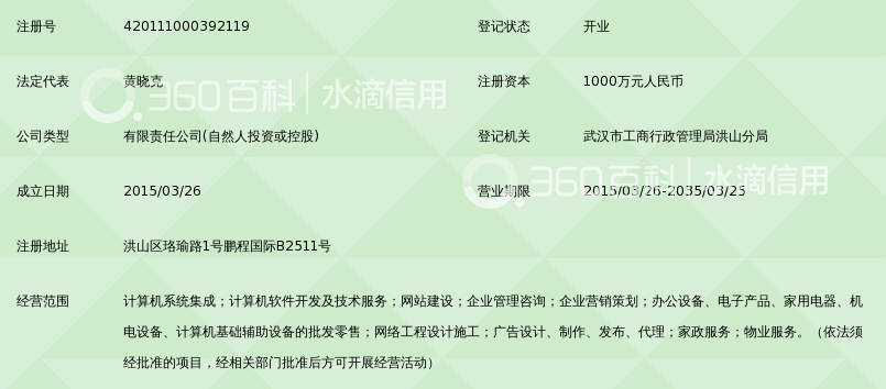 武汉恒望科技有限公司_360百科