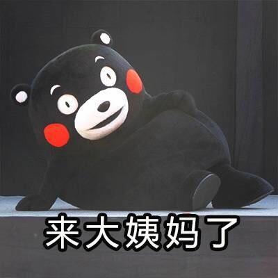 【斗图行走】必备的动态熊本熊图片萌表情贱表情包图片