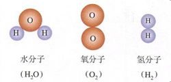 氧分子_360百科