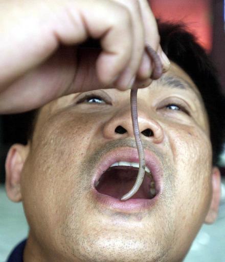 连韩雪都不敢吃的蚯蚓 泰国这位生吃三十年